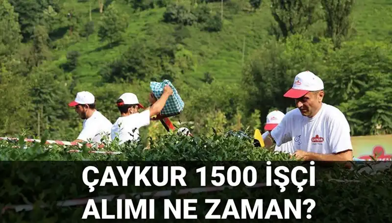 Çaykur İşçi Alımı: Son Tarih ve Detaylar Açıklandı!