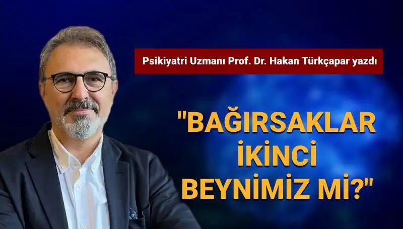 Bağırsaklar: İnsan Vücudundaki Gizemli İkinci Beyin Mi?