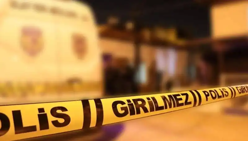 Diyarbakır'da Kayınpeder Dehşeti: Aile İlişkilerinin Çığrından Çıkması