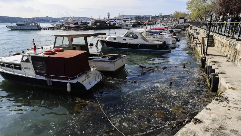 İstanbul'da Müsilaj Alarmı: Denizdeki Korkutucu Tablo Yeniden Ortaya Çıktı
