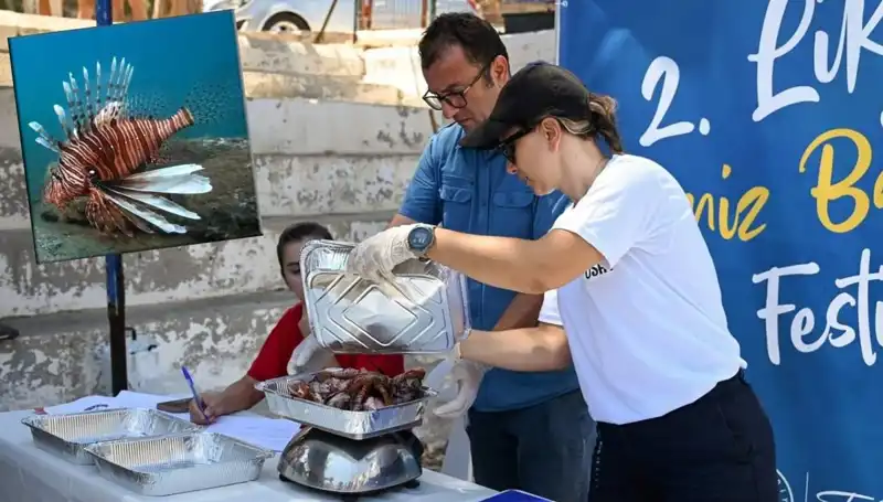 Antalya'da İstilacı Aslan Balığı Avlama Yarışması, Doğal Dengeyi Koruyor