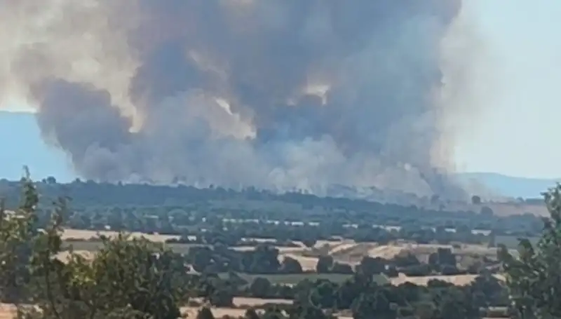 Komşu Orman Yangını Edirne'yi Dumanla Kucakladı: Neler Oluyor?