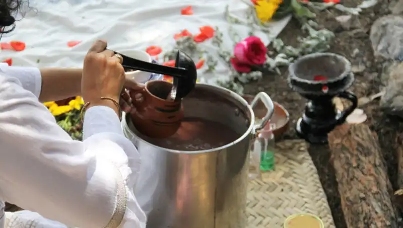 Ayahuasca: Gizemli Şifa ve Yasal Meseleler Üzerine Bilgi Rehberi