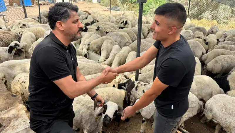Kurbanlık Alırken Tuz ve Sumak Hilelerine Dikkat!