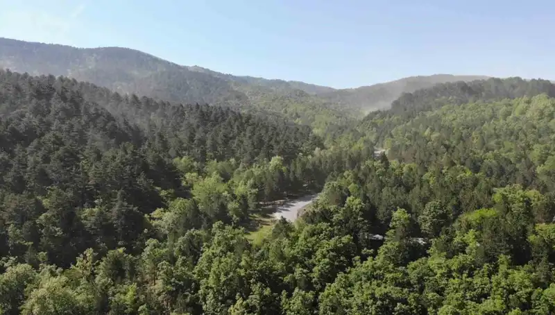 2025'te Orman Girişi Yasak Olan İller: Nedenleri ve Sonuçları