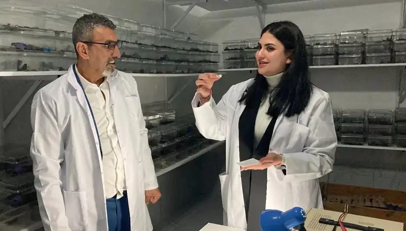 Akrep Zehri ile Şeker: Şaşırtıcı Bir Lezzet Deneyimi mi?