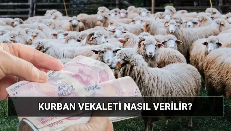 Vekaletle Kurban Kesimi: Diyanet’in 2025 Fiyatları ve Süreçleri