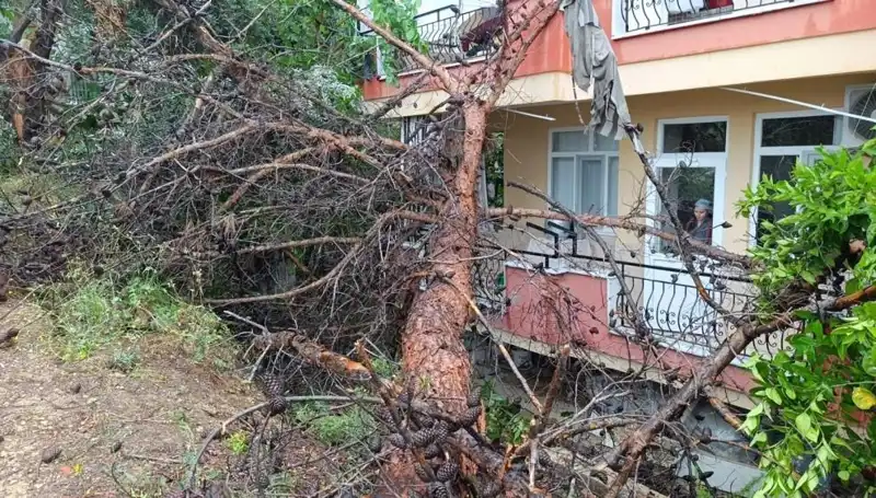 Yağmur Olayı: Devrilen Bina ve Ardındaki Sır Perdesi