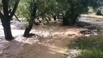 Mersin'de Sağanak Yağışın Sebep Olduğu Sel Felaketi