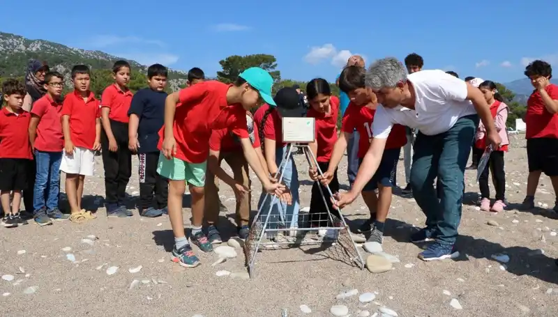 Kemer'de Caretta Caretta Koruma Yasakları: Neler Değişiyor?