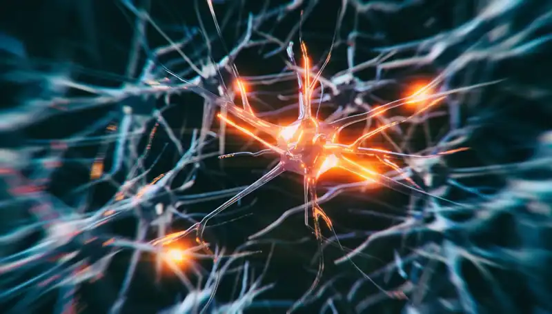 Alzheimer Vakalarında Şok Artış: Sebepler ve Çözüm Önerileri