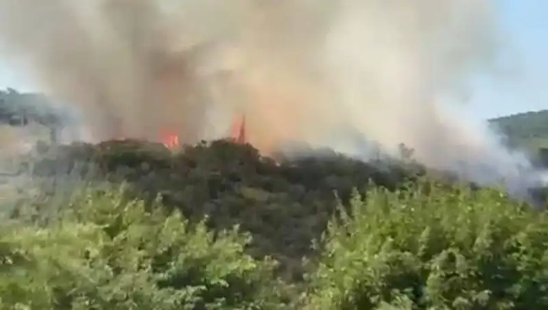 İstanbul Orman Yangını: Gözlerimiz Önünde Korkutucu Bir Doğa Felaketi