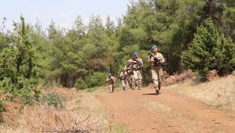 Kilis’te Orman Yangınları ile Mücadele: Denetimlerin Önemi Artıyor