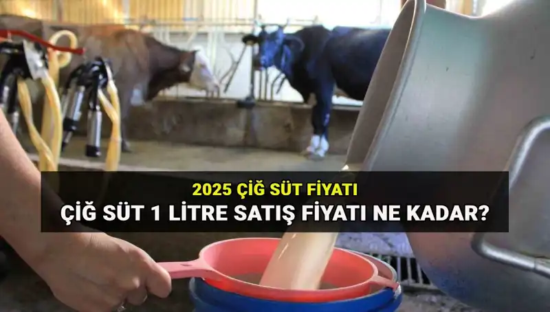 Çiğ Süt Fiyatları 2025: Ulusal Süt Konseyi’nin Yeni Açıklamaları Neleri Değiştirecek?