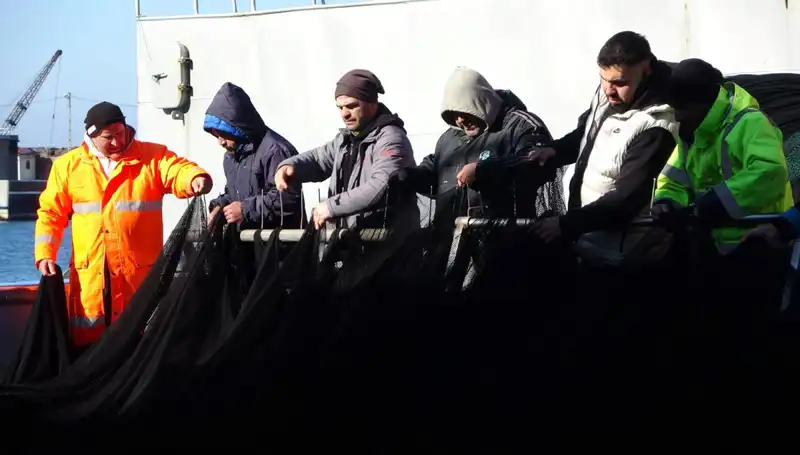 Denizlerde Hamsi Krizi: Balıkçılar Erken Paydos Ediyor!