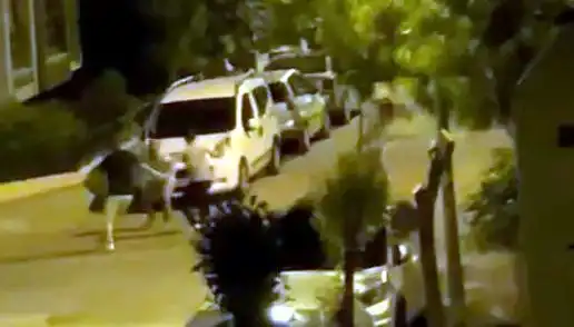Avcılar’da 3 Kişinin Saldırdığı Vatandaş Kurtarıldı, Olay Şok Etti!