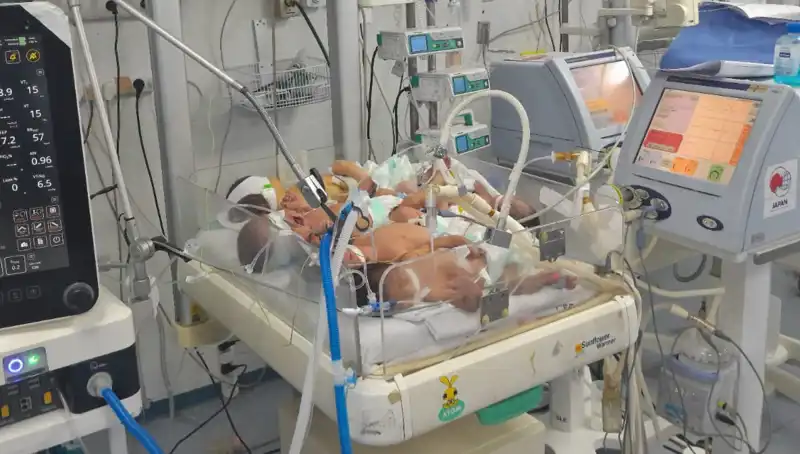 Gazzeli Doktorlar Yüz Yüze: Tek Kuvözde Birden Fazla Bebek Krizi!