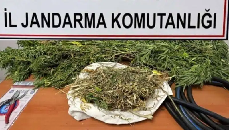 Niğde'de Şok Uyuşturucu Operasyonu: Neler Oldu?