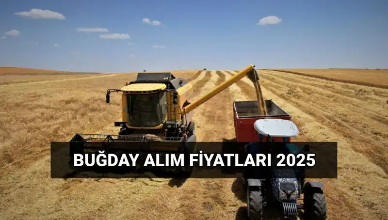 Hububat Alım Ücretleri Ne Zaman Hesaplara Geçecek?