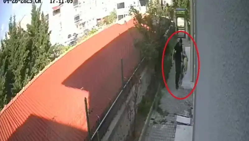 Veteriner Hekim Evdeki Köpekleri Parçalayıp Öldürdü: Şok Edici Tutuklama