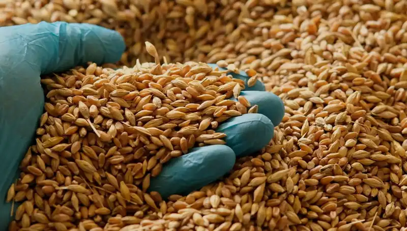 Kalp Hastalığı Riskinizi %50 Azaltan Beslenme Planı Açıklandı!