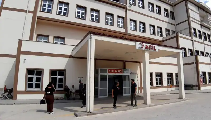 Bolu'da Ayı Avı Kararı: Tartışmalar Sürüyor