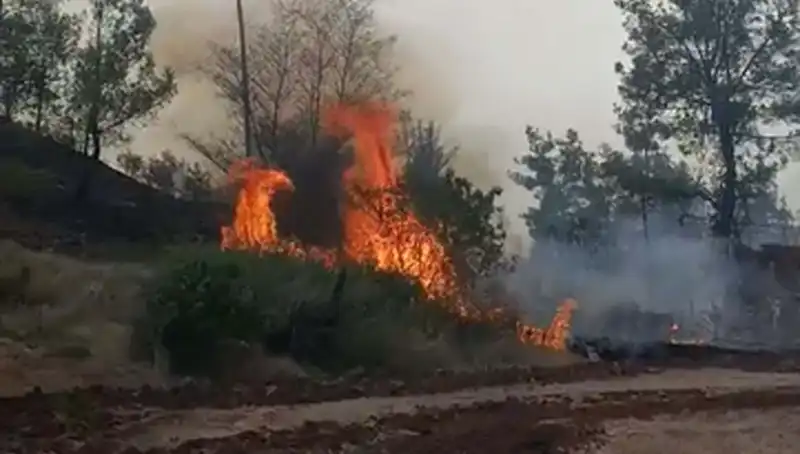 Denizli’deki Yangın: Orman Alanları Tehlikede, Zarar 7 Hektar