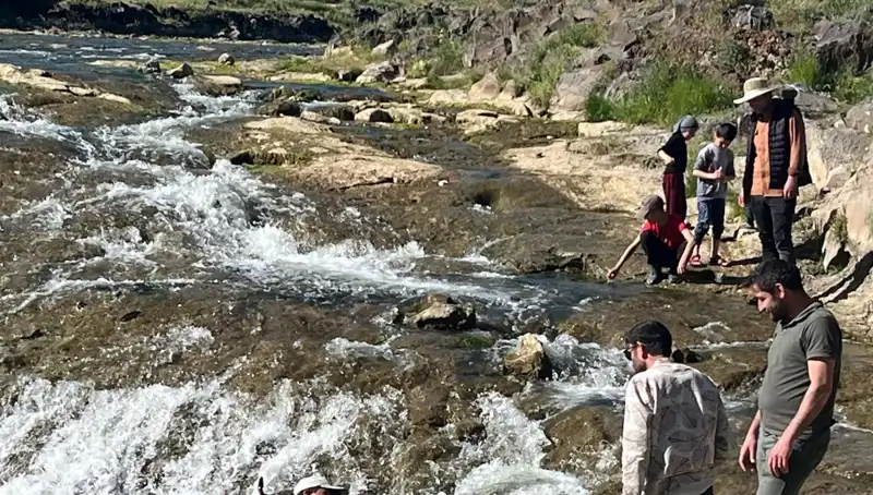 İnci Kefalinin Göçü: Doğanın Mucizesiyle Gelen Binlerce Ziyaretçi