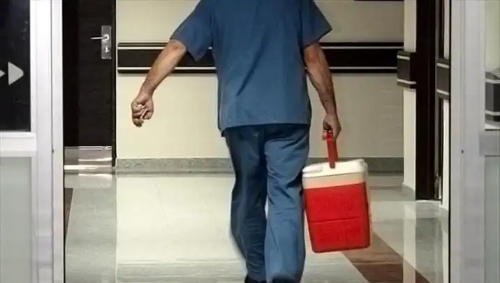 Organ Bağışında Dijital Dönüşüm: e-Devlet ve e-Nabız ile Yeni Fırsatlar