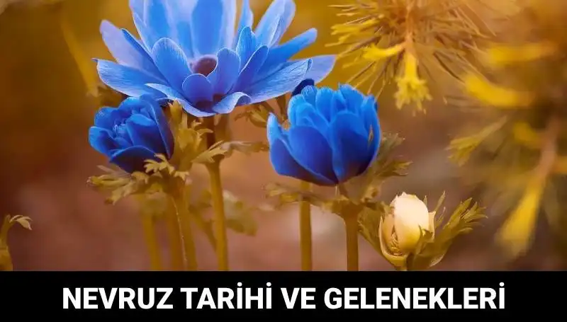 Nevruz Bayramı: Geleneksel Kutlamaların Derin Anlamı ve Tarihçesi