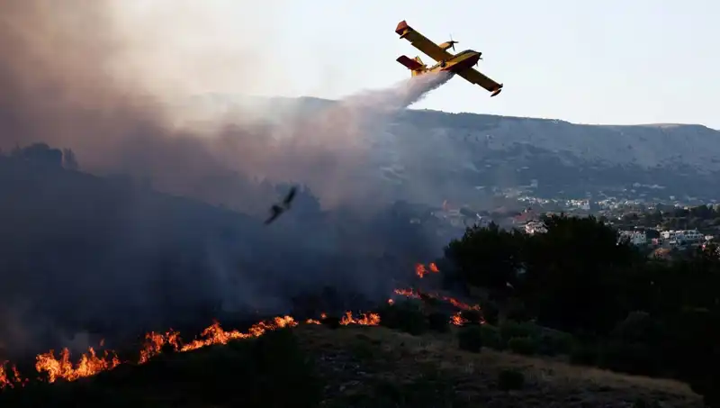 Sakız Adası'ndaki Orman Yangını: Kontrol Altına Alındı, Ama Sonrası Ne Olacak?