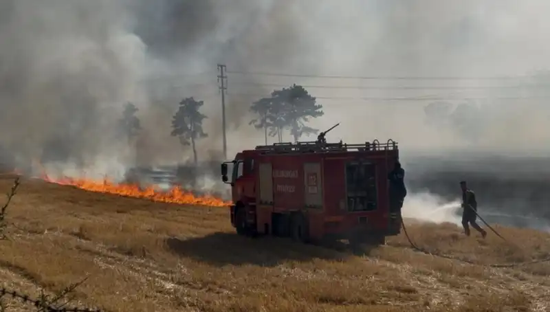 Kırklareli’ndeki Anız Yangını: Tarım Alanları Tehdit Altında!