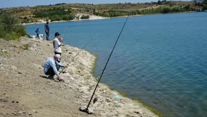 Kafeslerde Yaşanan Dram: Baraja Koşan Kalabalığın Nedeni Ne?
