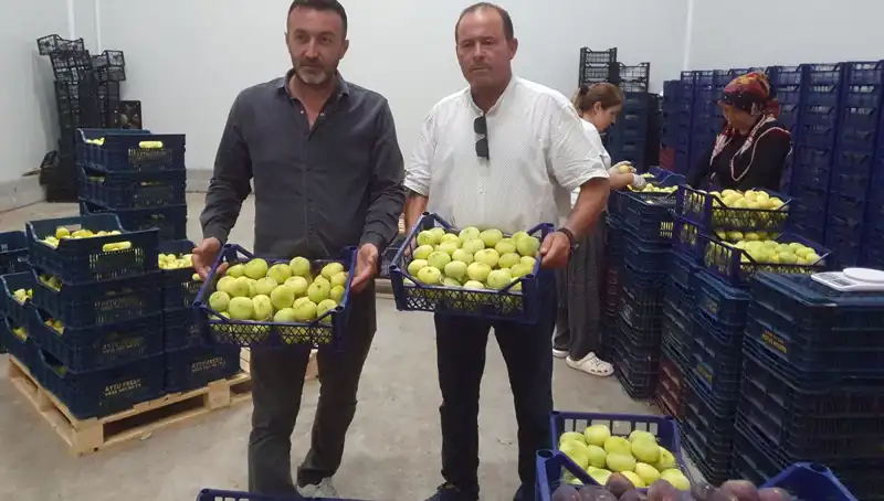 Mersinli Çiftçiler 20 TL'den İhraç Edilen Ürünleriyle Ekonomik Rahatlık Sağlıyor
