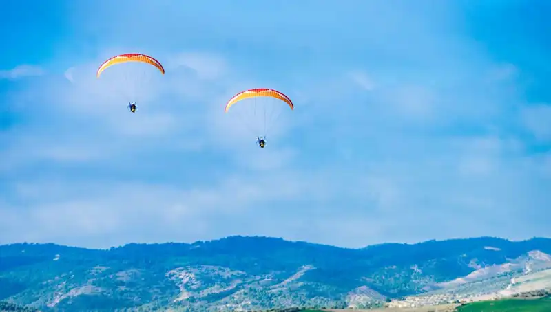 ABD'de Polonya Askerlerinin Paraşüt Eğitimi Faciaya Dönüşüyor