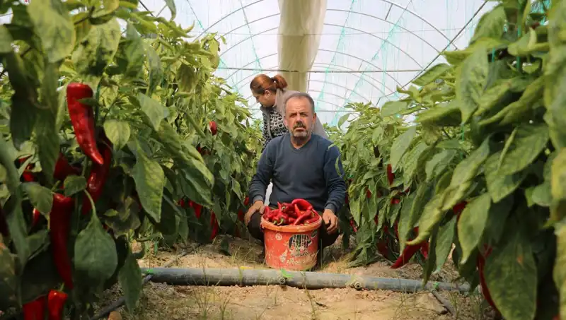 Hızla Artan Fiyatlar: Ürünlerde Yüzde 50 Zam Gerçekleşti!