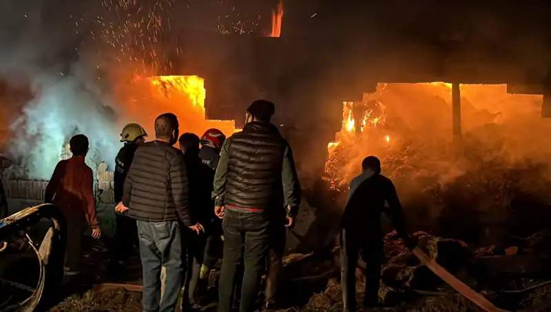 Bolu'da Korkutan Ahır Yangını: Hayvanlar ve Barınak Tehlikede