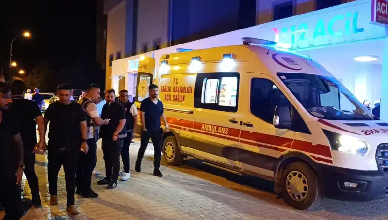 Kardeşlerin Kavgası: Genç Adamın Sonu Olacak Derecede Gerilim