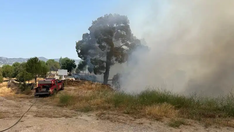 Muğla Orman Yangınları: Doğanın Kalbi Yanıyor, Nedenleri ve Sonuçları