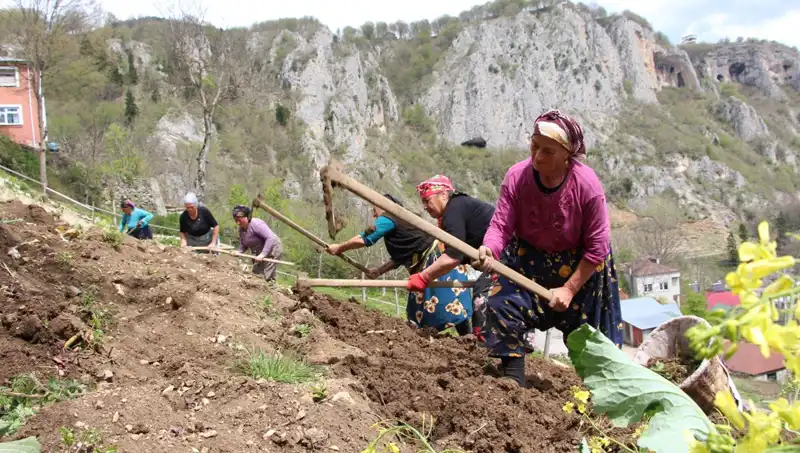 Zorlu Mesai Başladı: Sırtlarında Sepetler, Ellerinde Kazmalar ile Çalışmaya Hazırlar