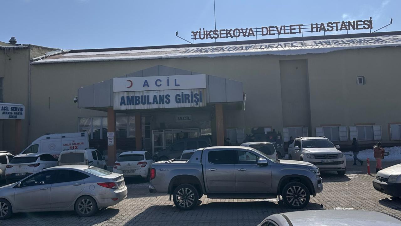 Başıboş Köpeğin Saldırısında Hayatını Kaybeden Çocuk İçin Müfettiş Görevlendirildi