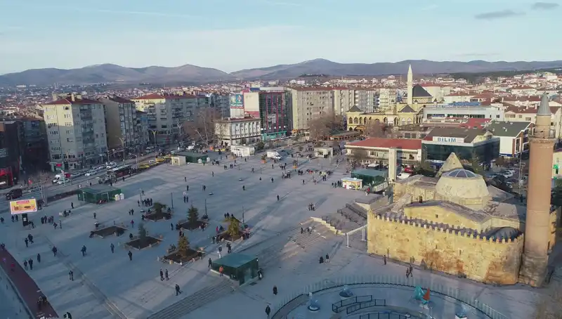 Kırşehir'de Bilim Dünyasını Şaşkına Çeviren Yeni Bir Böcek Türü