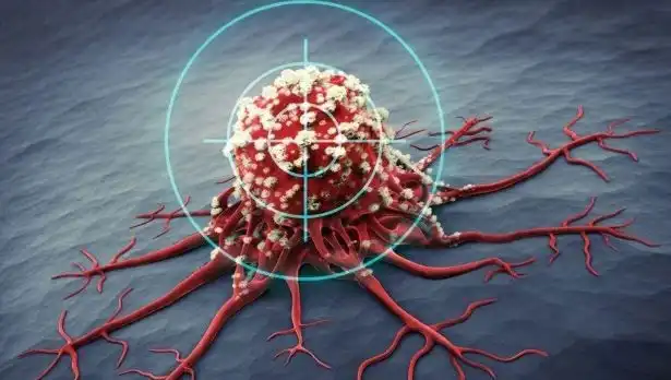 Prostat Kanseriyle Mücadelede Etkili 6 Besin: Bilimsel Çalışmalarla Kanıtlandı