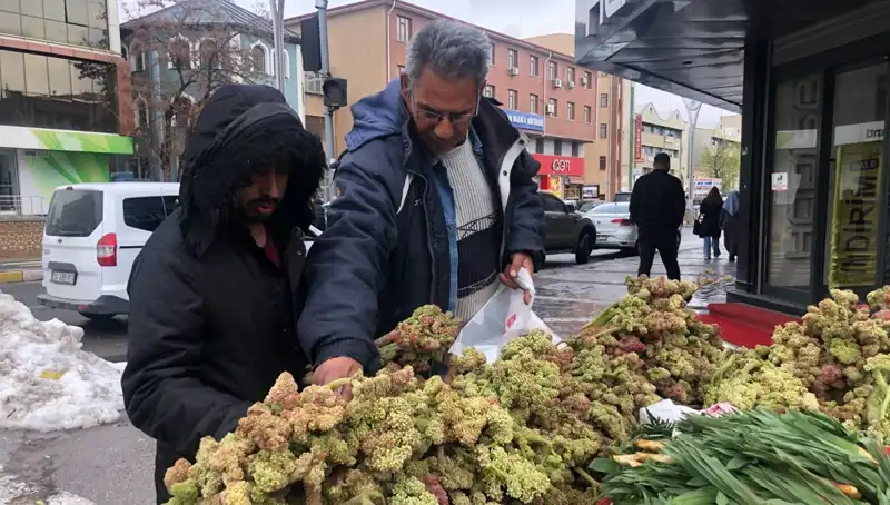 Kanserin Yeni İlacı mı? Kendiliğinden Yetişen Şifa Kaynağı Tezgahta!